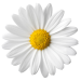 pngwing.com (7)